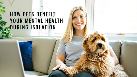 How Pets Benefit Your Mental Health During Isolation